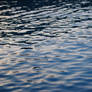Ripples Background 3864