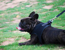 Exhausting Isolation Walks