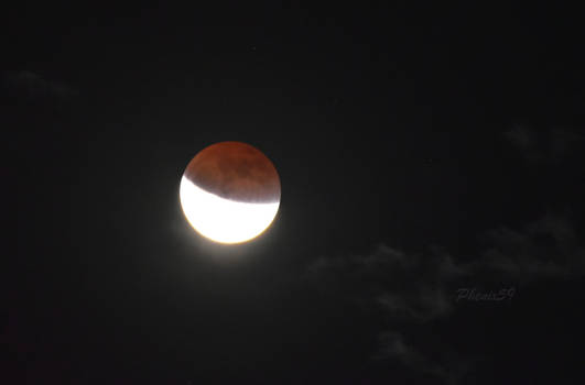 Lunar Eclipse May 15th