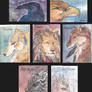 Patreon Trading Cards: Non Gryfons!