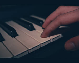 My friend, playing piano.