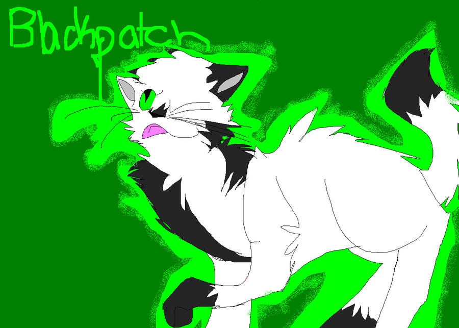 Blackpatch by Jayfeathersupporter on DeviantArt
