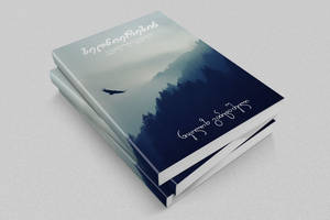 Nikoloz Gabitashvili Book Outdoor cover