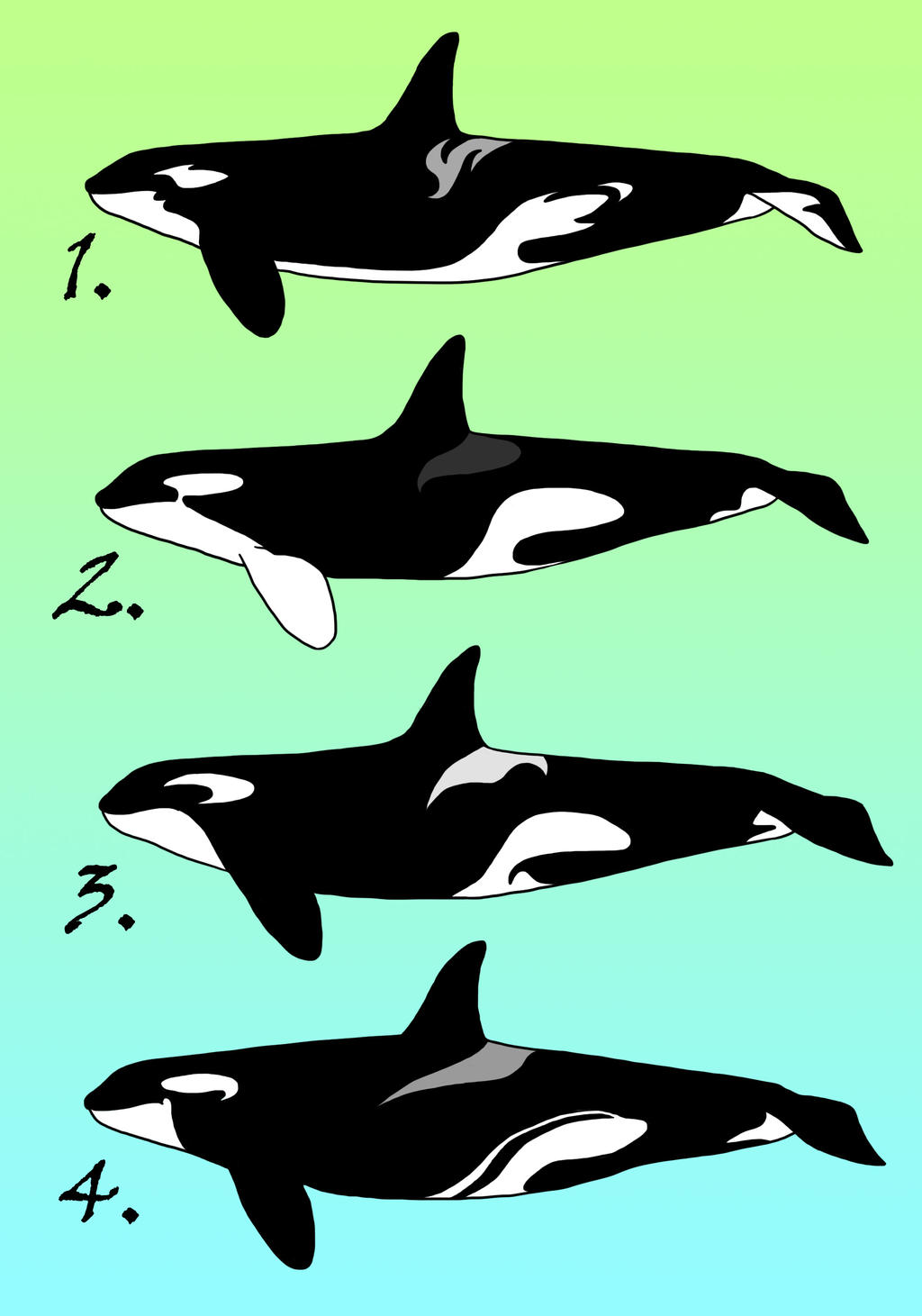 Orca adoptables 3 -CLOSED-