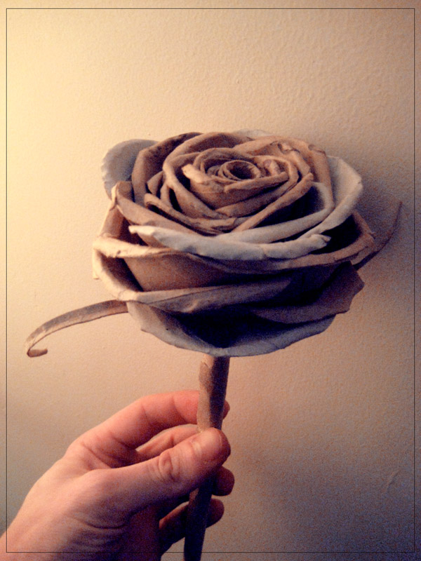 Toilet Roll Rose 2 Update