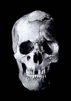 the skull