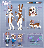 Lily's 2020 Reference sheet