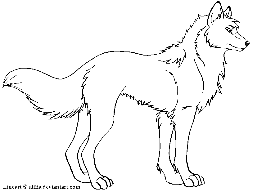Basic Wolf Lineart .:Wolf Lineart:. by MS-Paint-Friendly on DeviantArt