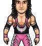 Bret Hart