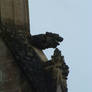 Gargoyle of Wells Cathedral