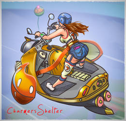 sky rider