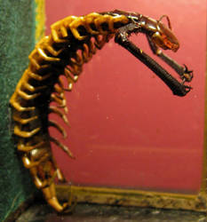 Clawed Jungle Centipede Gaff