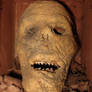 Peruvian Blood Monkey Head 1