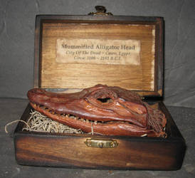 Mummified Alligator Head Gaff