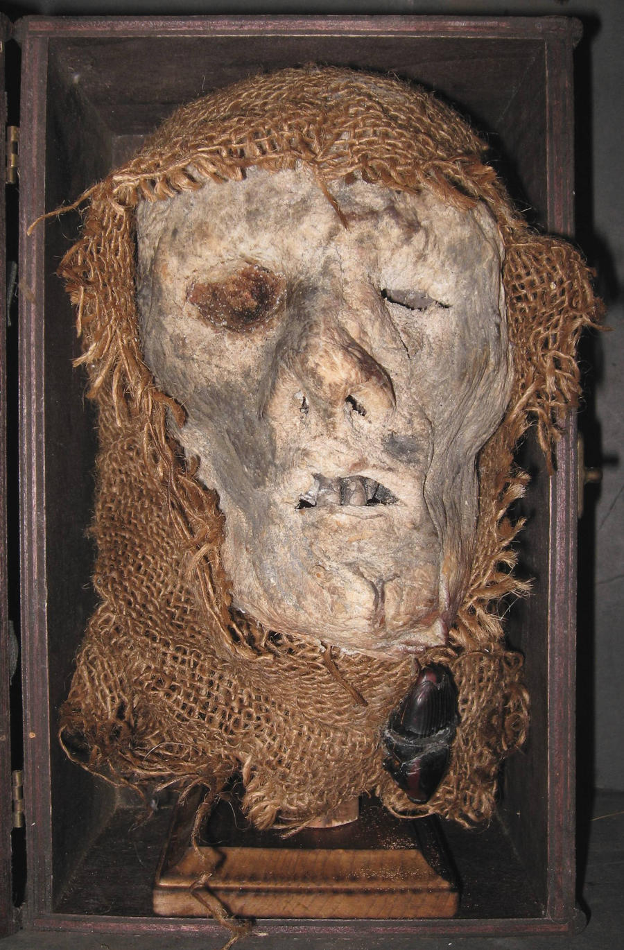 Mummified Monk Head Gaff 2 by DETHCHEEZ