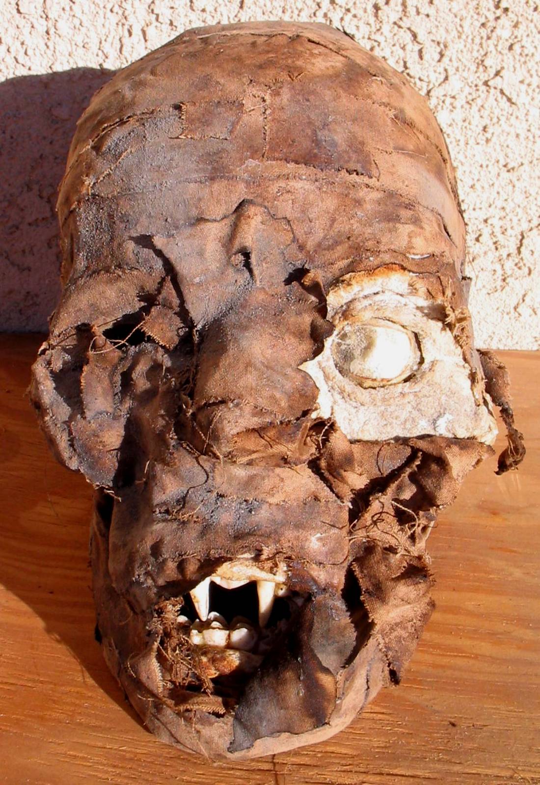 Mummified Head Of Vlad Dracula by DETHCHEEZ