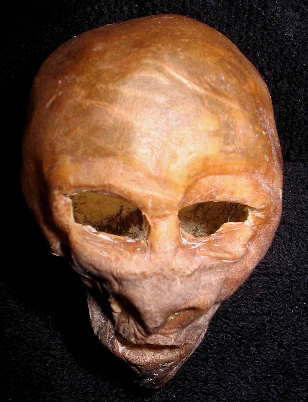 Mummified Alien Head 1