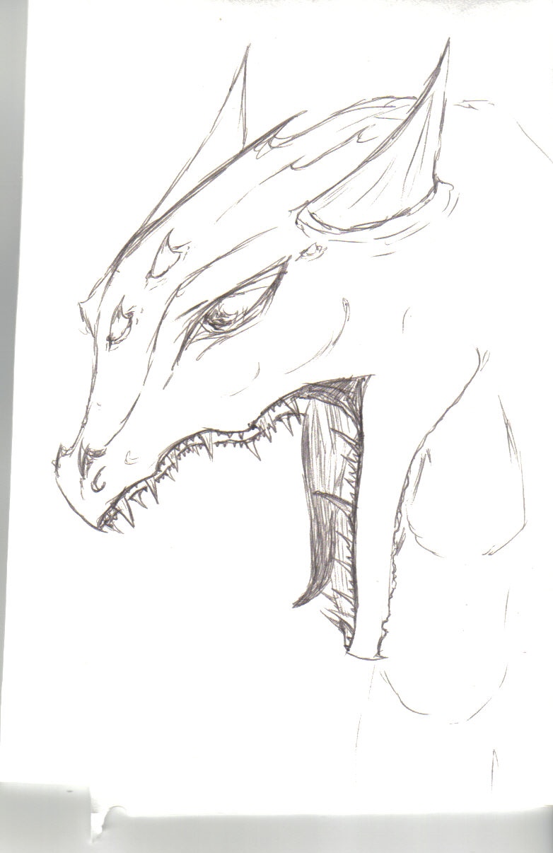 Basic dragon by Kyatria on DeviantArt