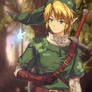 Link