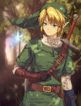 Link by nuriko-kun