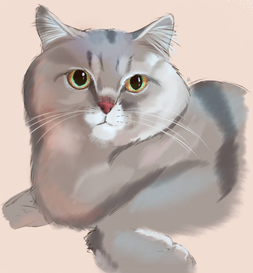 Ray by Pathological-Lurker on DeviantArt