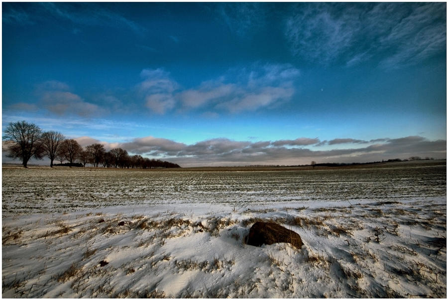 Winter landscape III