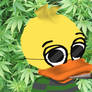 QuackityHQ