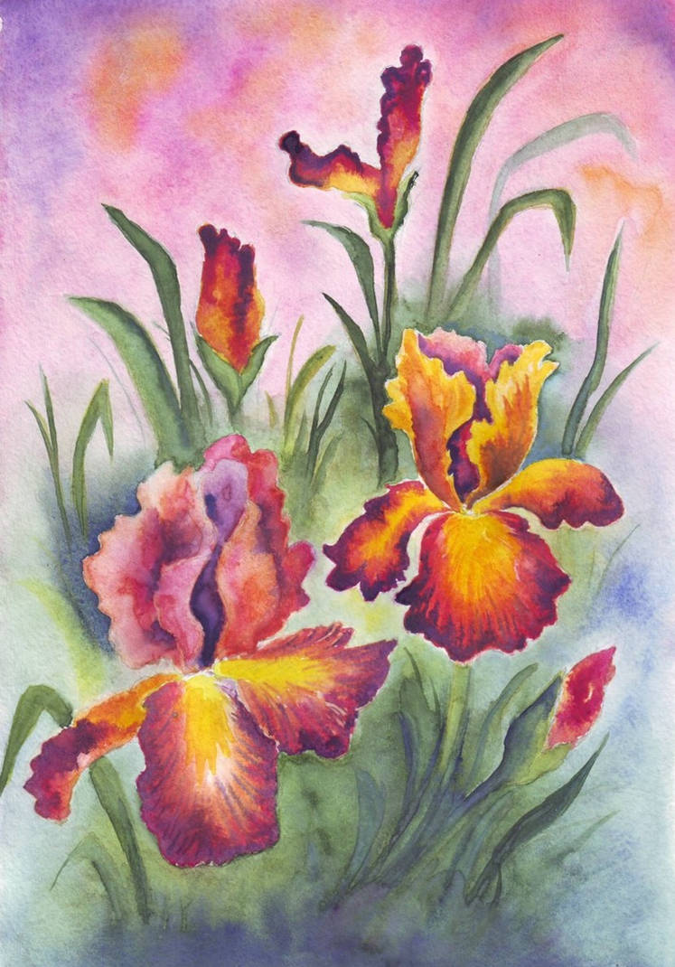 840 Irises by YourFavoriteRussian