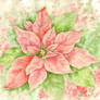 1279 Poinsettia