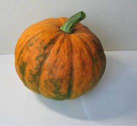 2023073002 Pumpkin