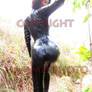 Island Catsuit Hiking