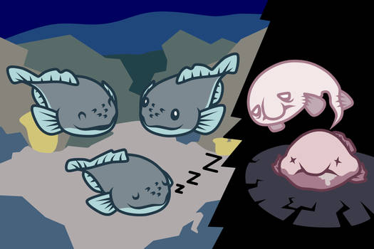 Blobfish Story