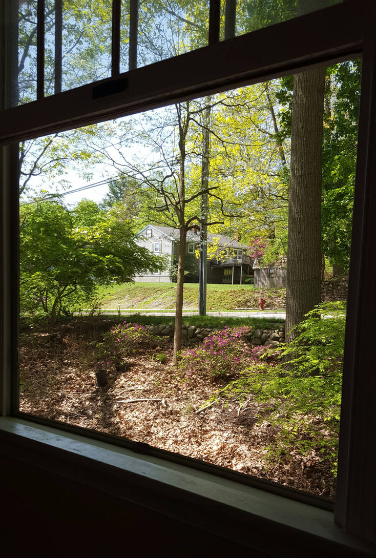 Spring Day Out Window Windowscapes (Spring) by SunflowerLover39 on DeviantArt