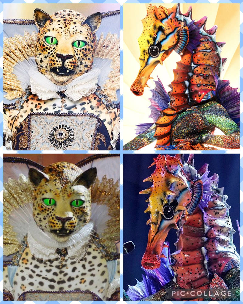 (CG) Leopard and Seahorse by CarlineTheLeopard on DeviantArt