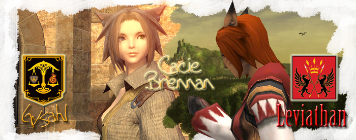 Banner ffxi ffxiv early2011