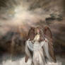 + Angel of Hope +