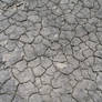 Cracked Ground Texture