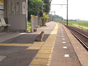 Railway 04