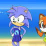 Sonic X OC picture - Blue and Marine