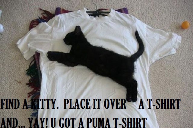 Kitty or PUMA T-Shirt?