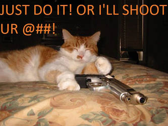 Shot gun? No! Shot Cat