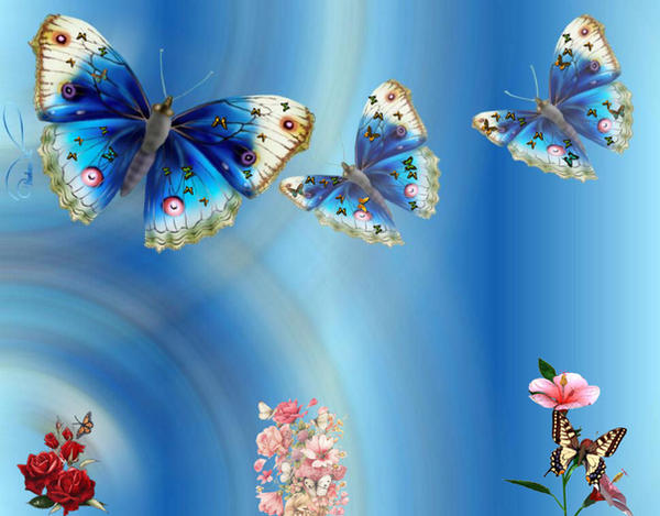 Futter Fly flutter fly by sweetchild56 on DeviantArt