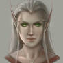 Blood Elf