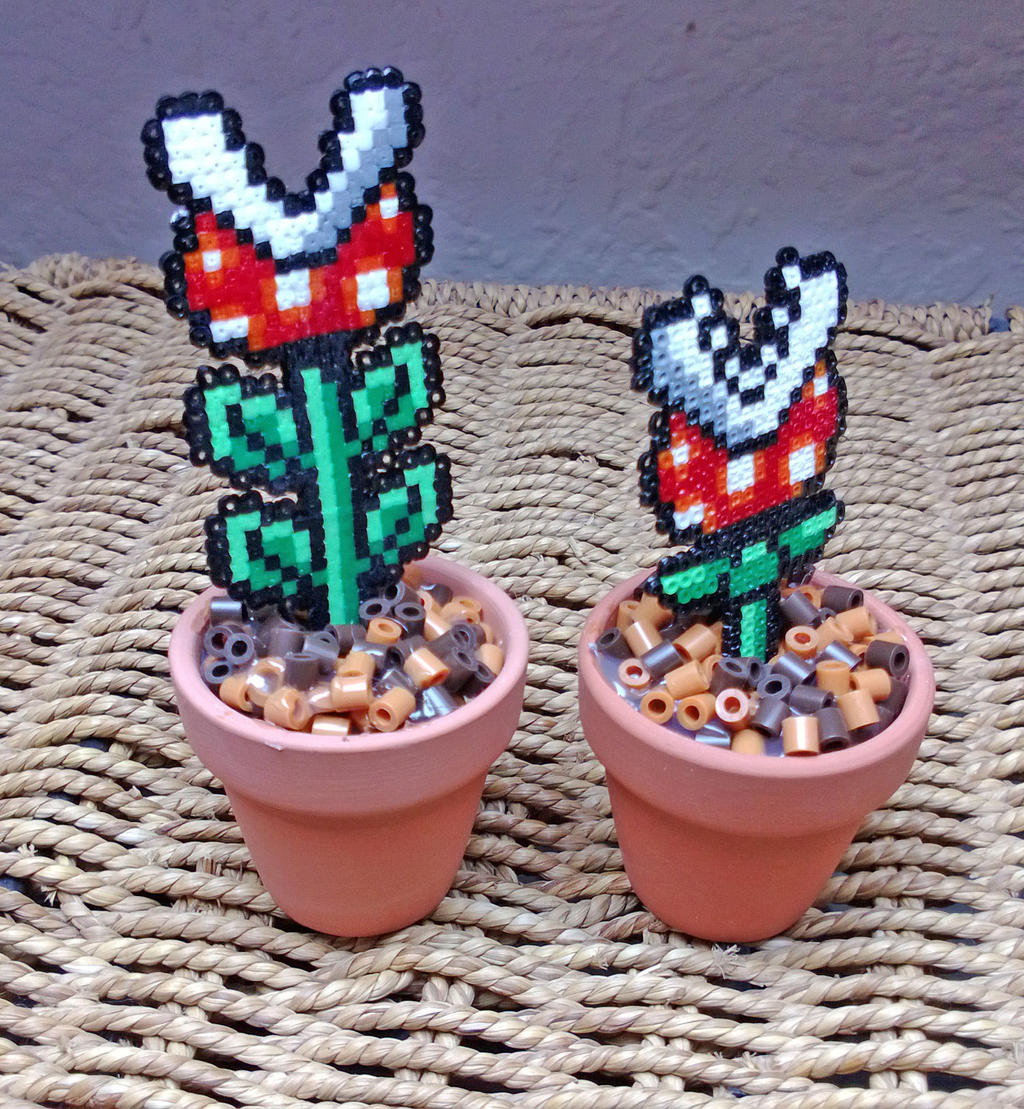 Piranha Pot Plants