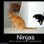 Motivational posters funny ninjas 3