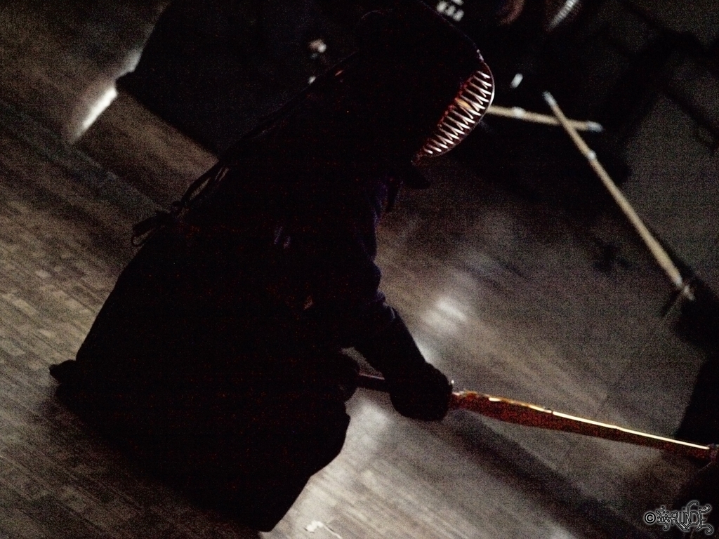 Kendo (4-7-2011)