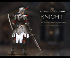 A Knight design