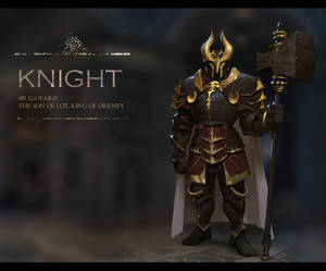 A knight design _male