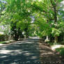 A Street From Where I live