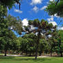 Plaza Belgrano